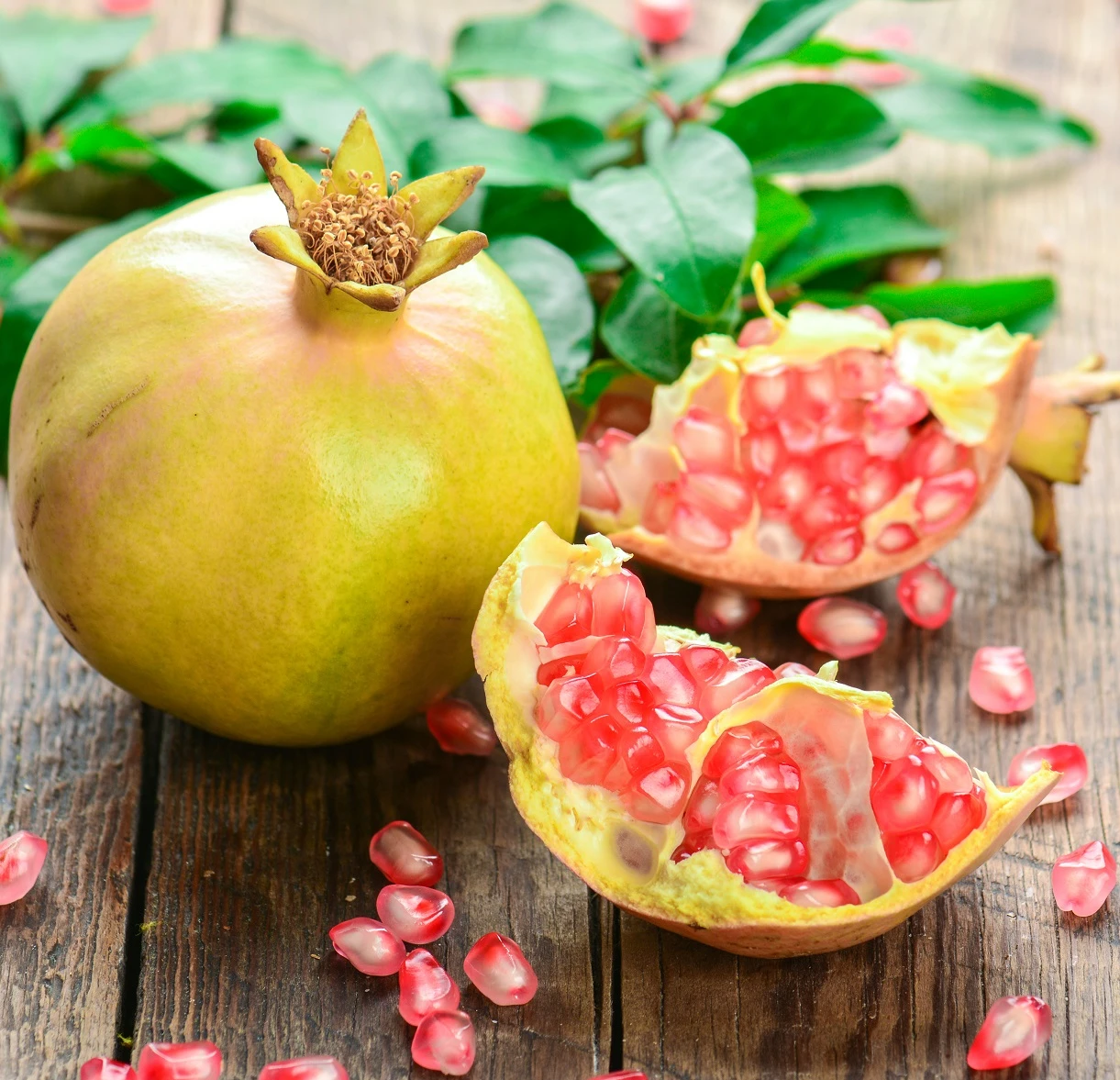Granatapfel `Haku Botan´ Punica Granatum 1 Granatapfel `Haku Botan´ Punica Granatum