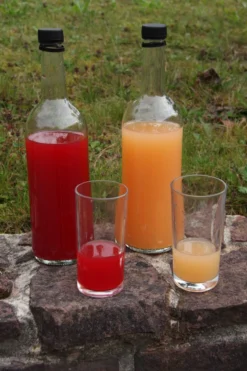 Rosette® Malus Domestica 8 Rosette® Malus Domestica -Pflanzenhof-online Geschäft Rosette Saft