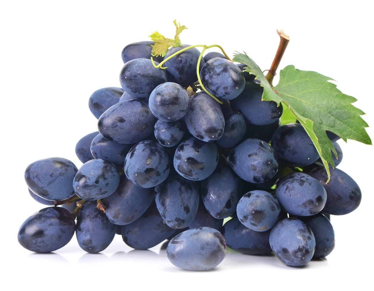 Tafeltraube `Georg´ Vitis `Georg´ 1 Tafeltraube `Georg´ Vitis `Georg´