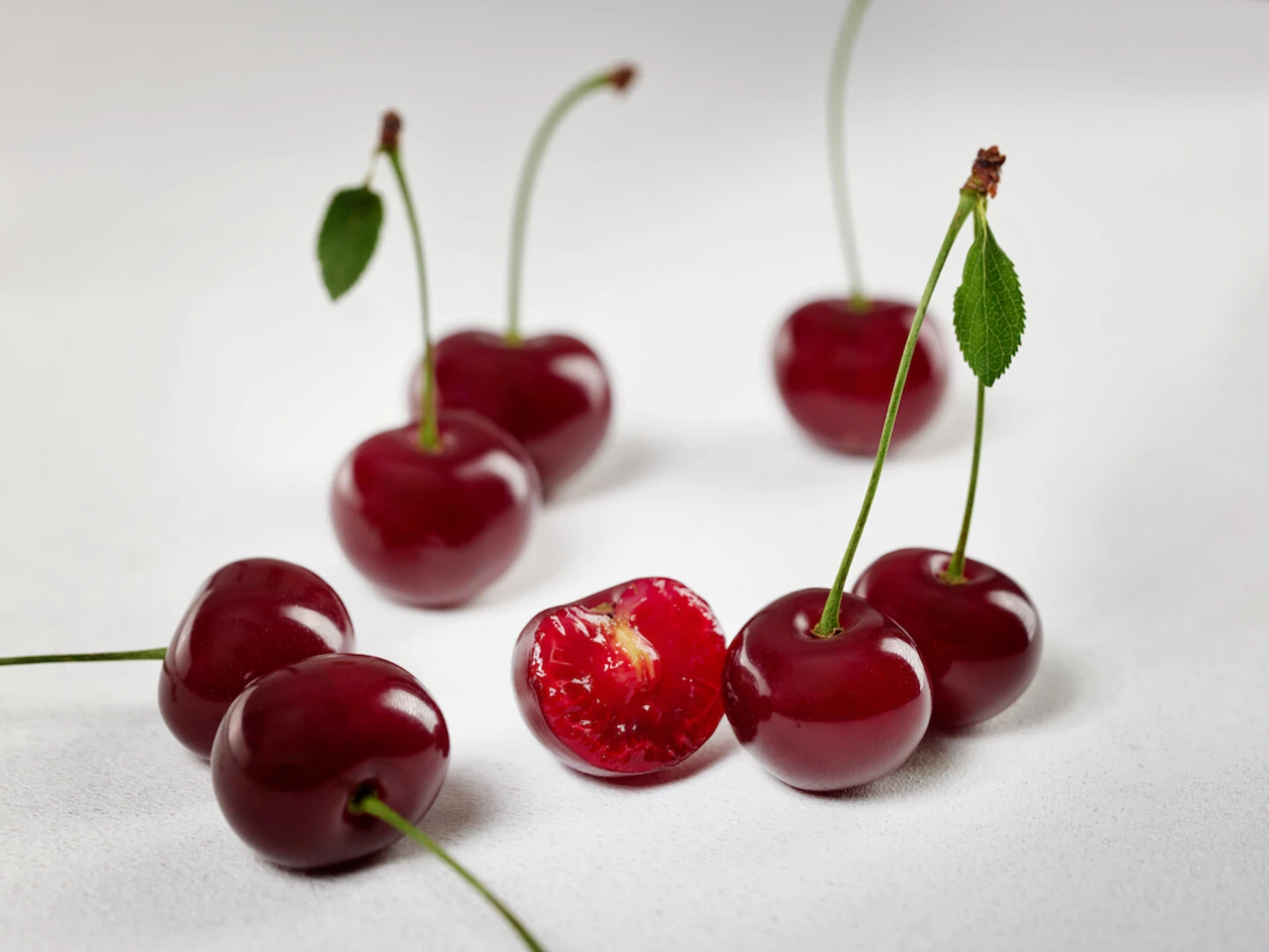 Achat Ⓢ Prunus Cerasus `Achat´ 6 Achat Ⓢ Prunus Cerasus `Achat´ – Bild 6