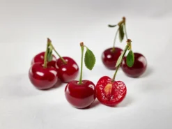 Safir ® Prunus Cerasus `Safir´ -Pflanzenhof-online Geschäft sauerkirsche safir glCz99JjQsQ3RC